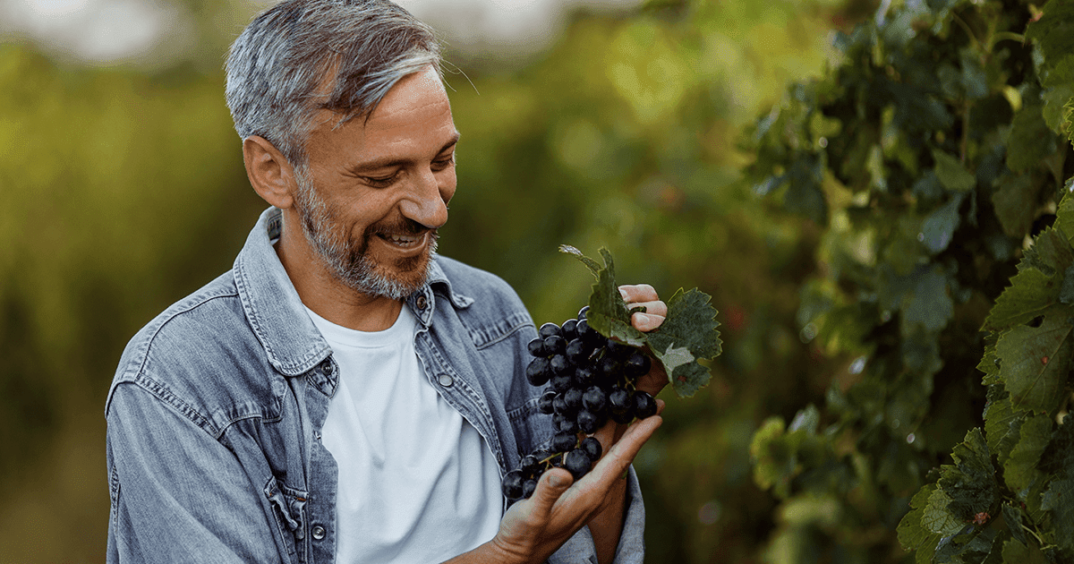 The Beauty of Wine Making